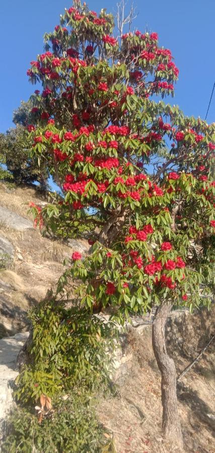Chandarshila Hike Homestay Ukhimath Luaran gambar
