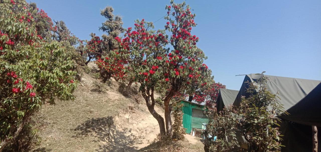 Chandarshila Hike Homestay Ukhimath Luaran gambar